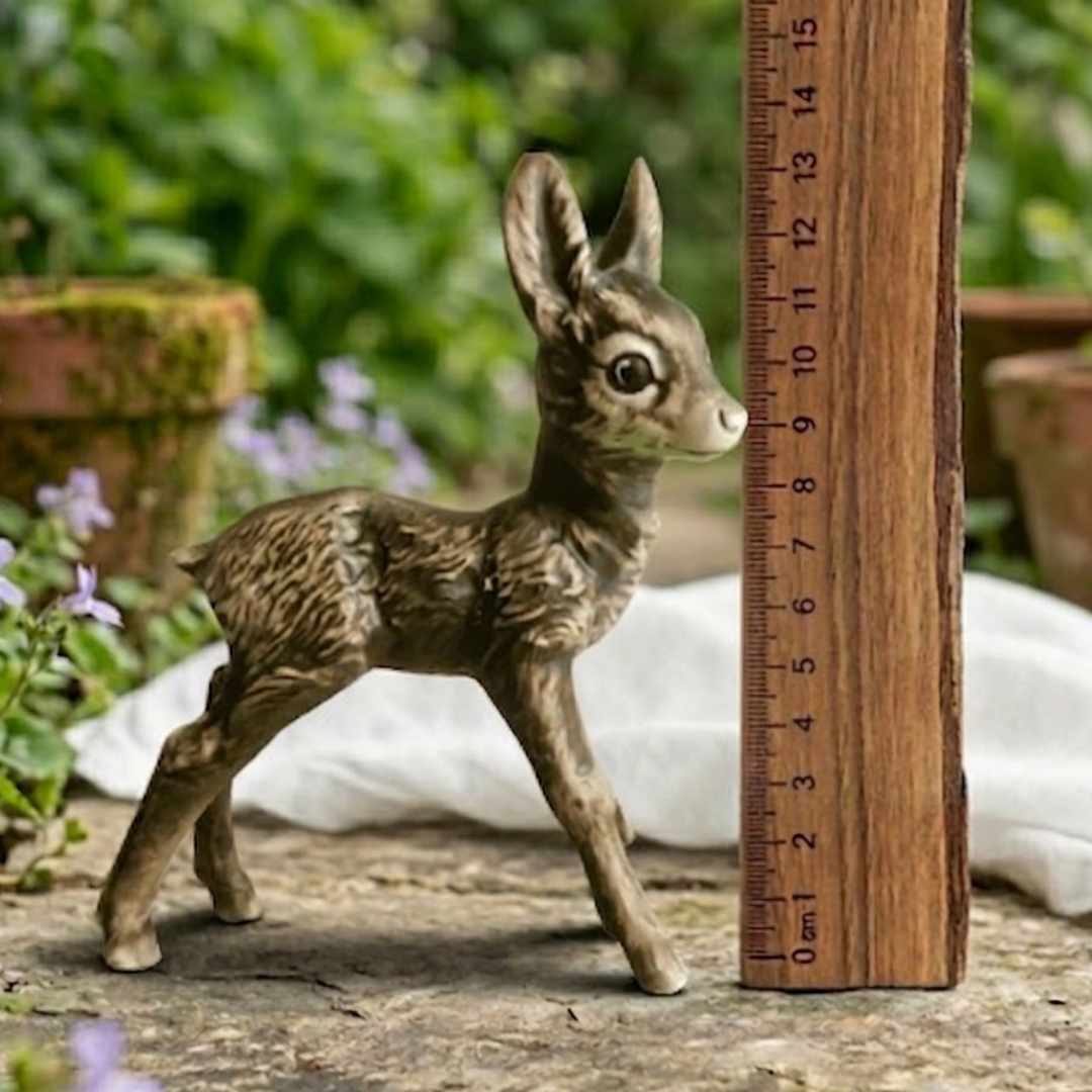 Technické parametry rozměry